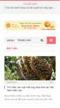 Mobile Screenshot of matongtaynguyen.net